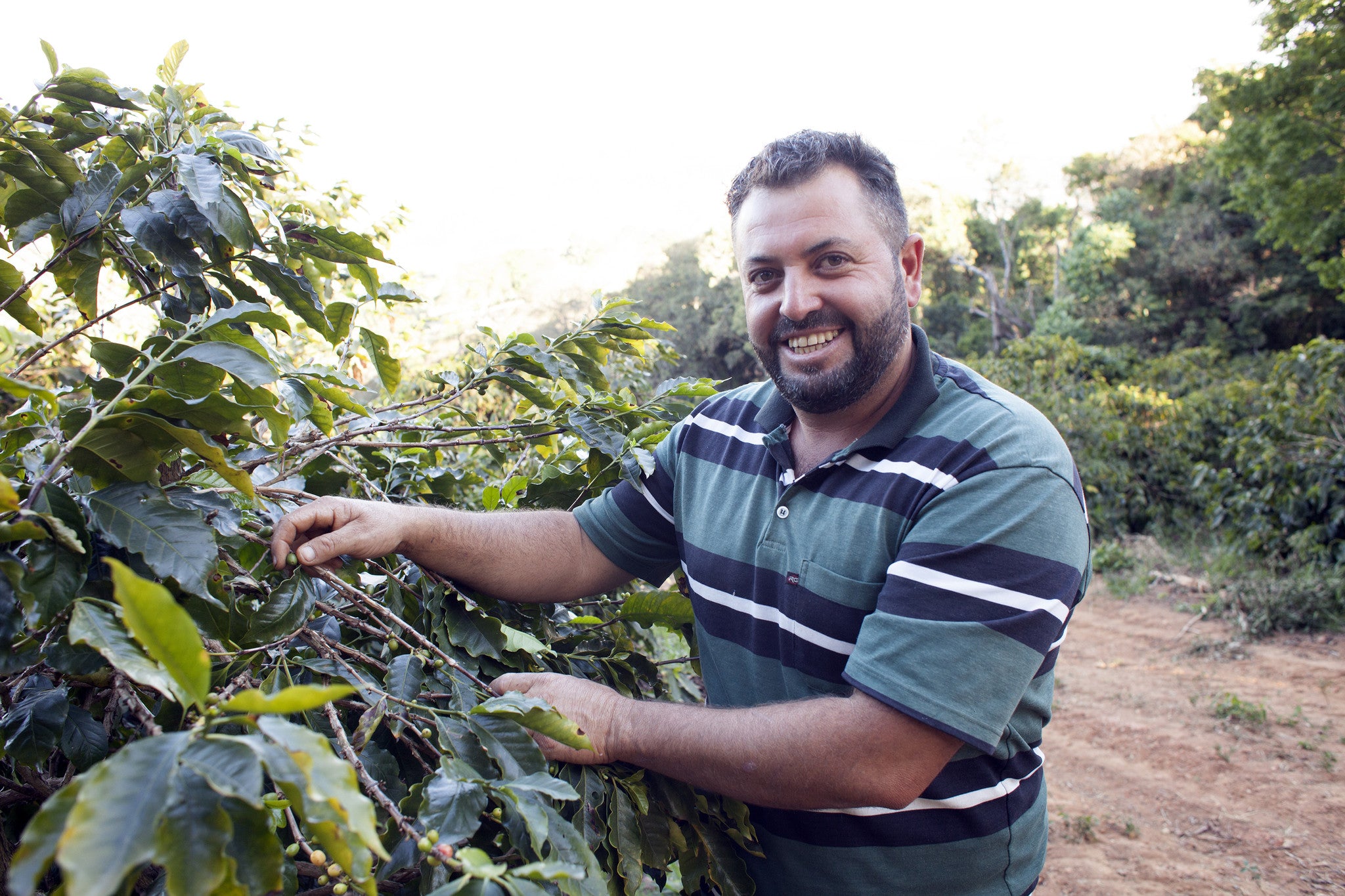 Novo Canaã Obata - A History