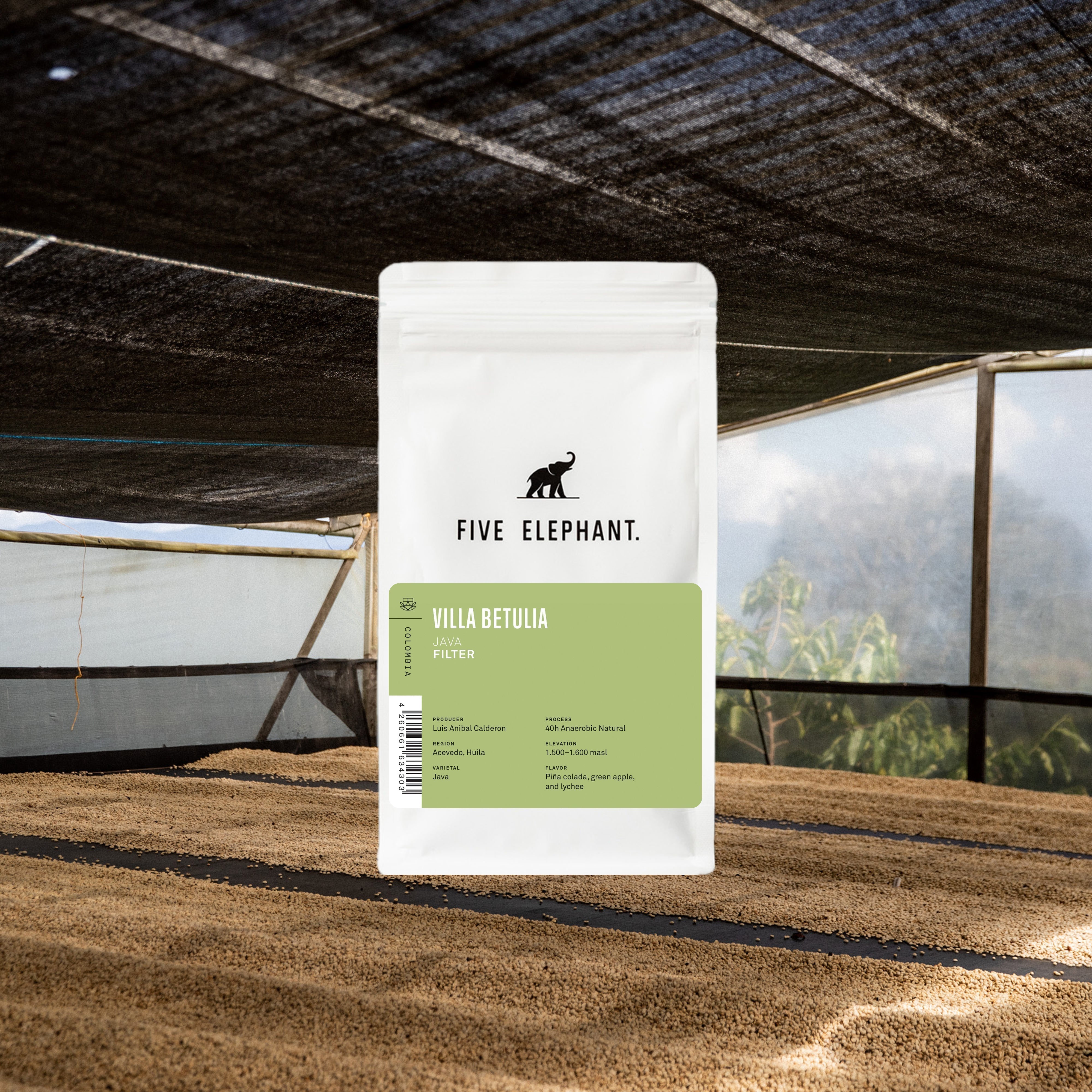 Colombia Villa Betulia Java — Limited Release.