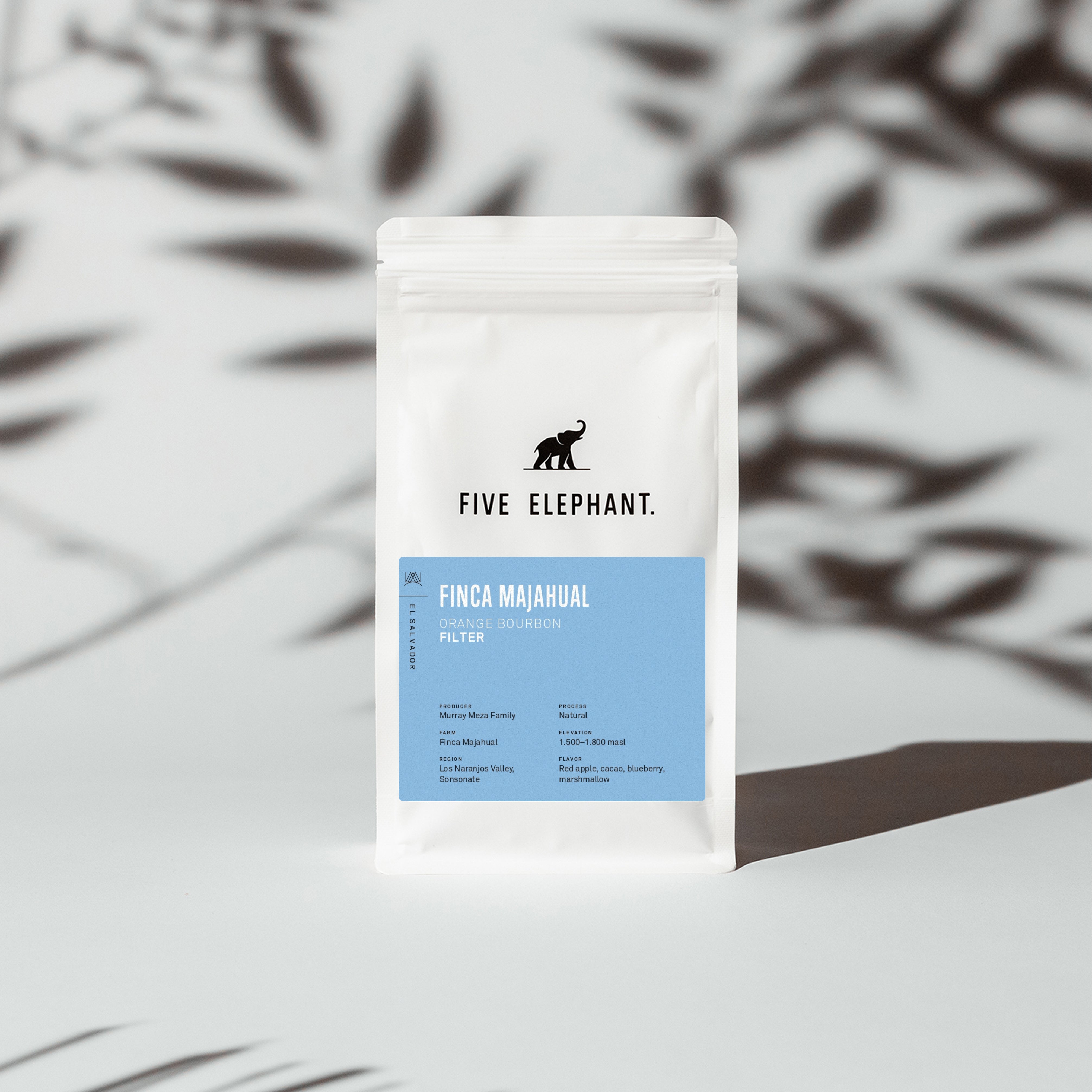EL SALVADOR Finca Majahual – Filter
