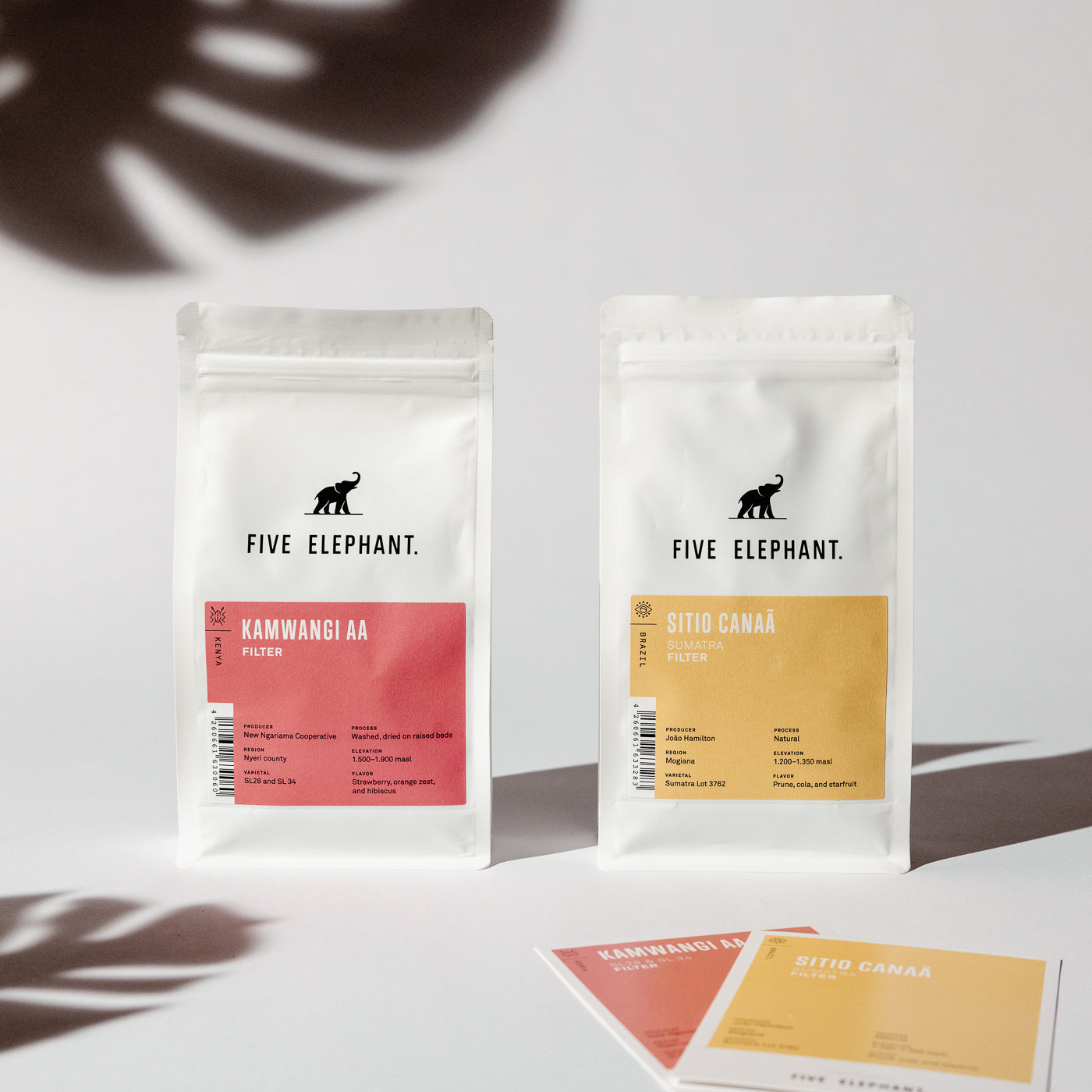 Five_Elephant_Subscription_3000x.jpg?v=1708509641