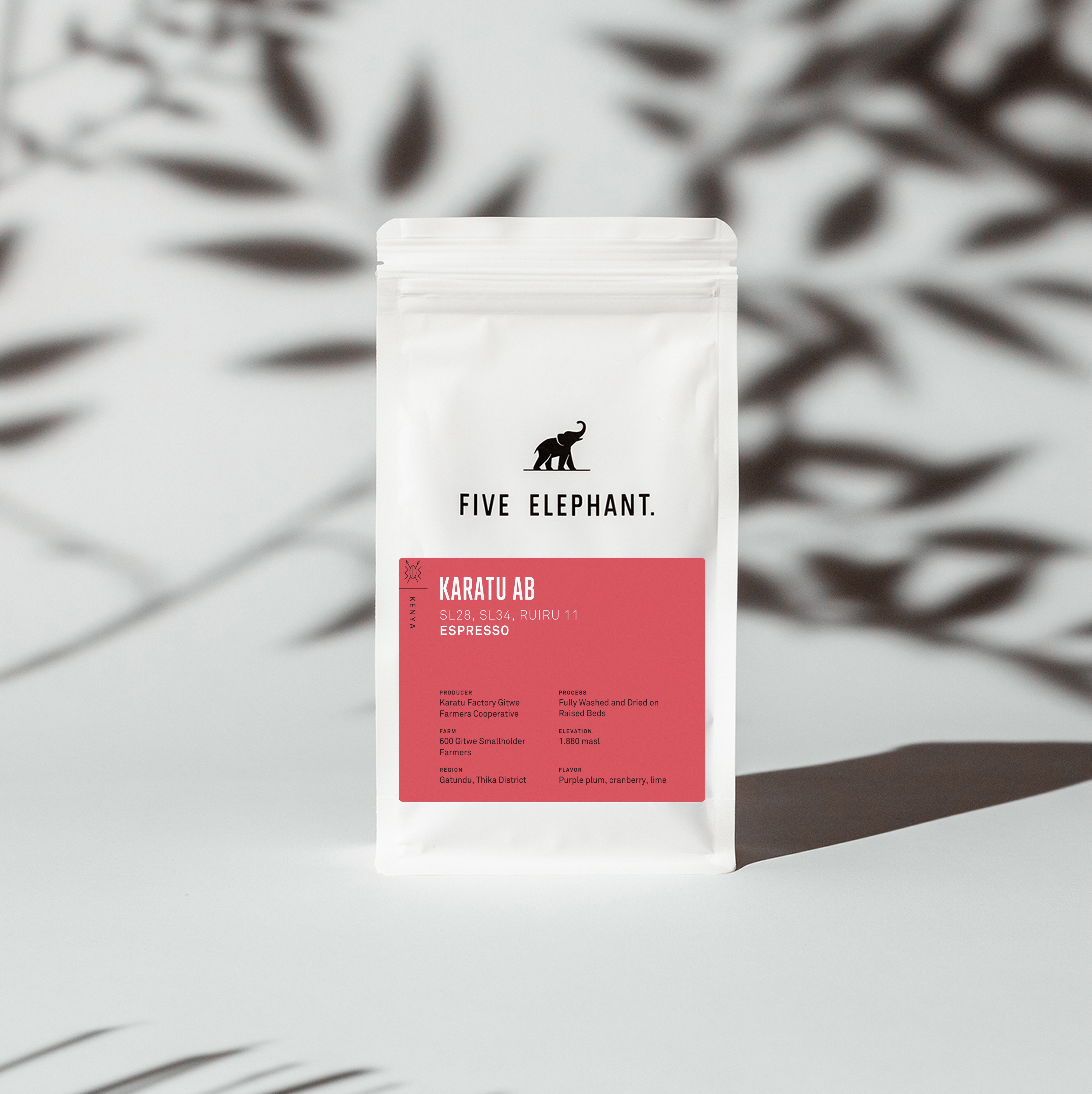 Kenya Karatu AB – Espresso