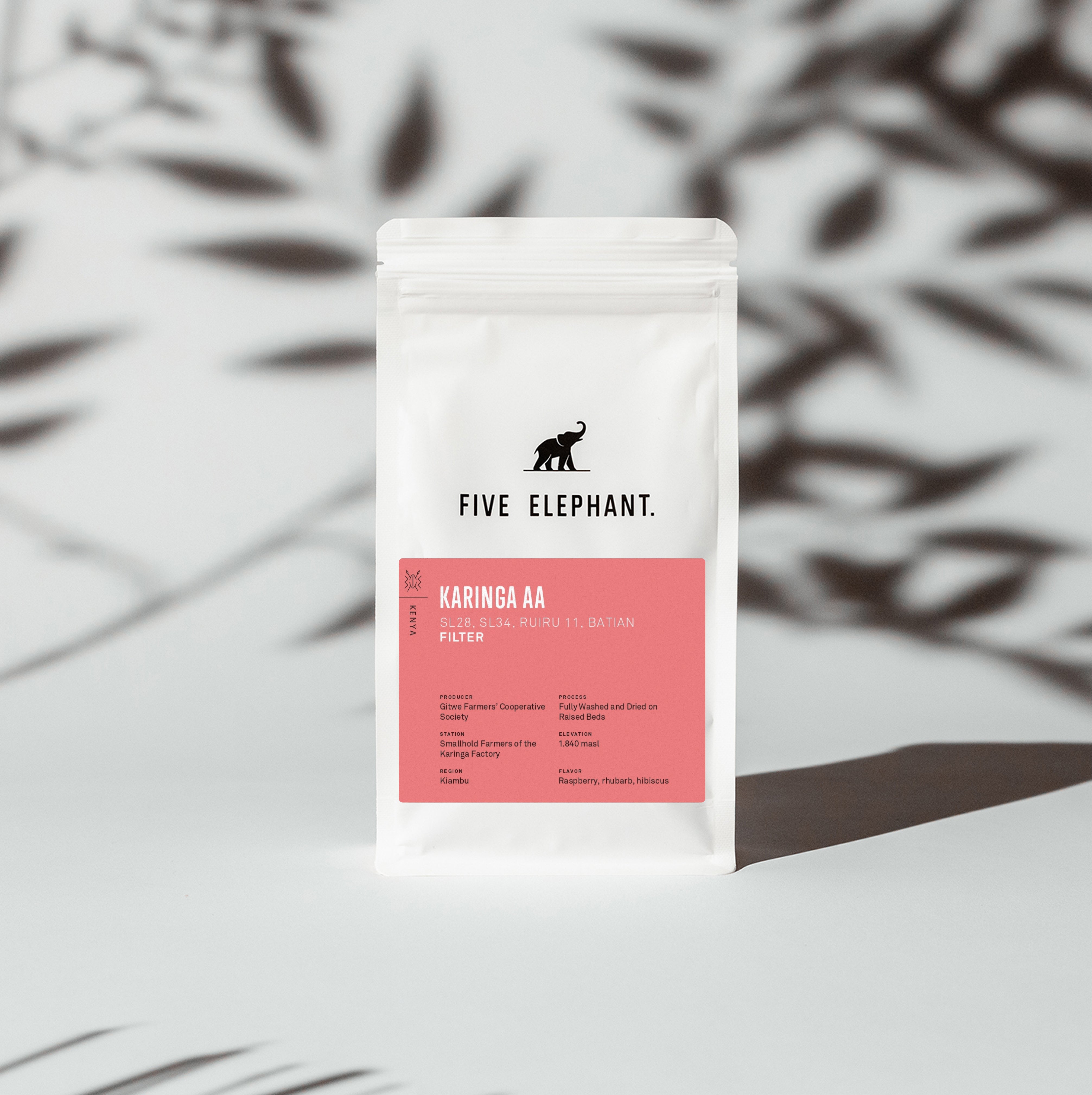 KENYA Karinga AA – Filter