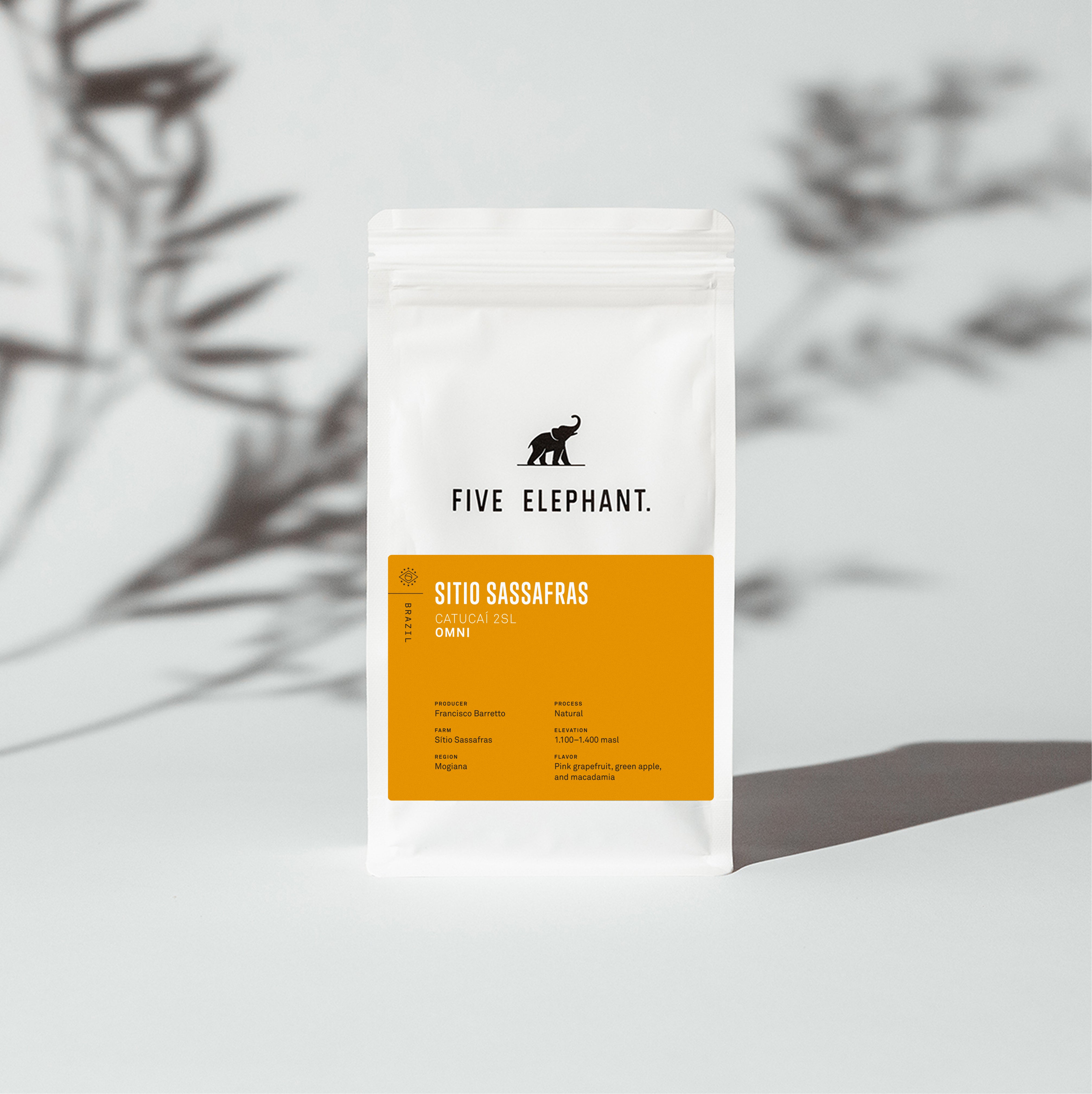 Photo of BRAZIL Sítio Sassafras – Filter & – Espresso