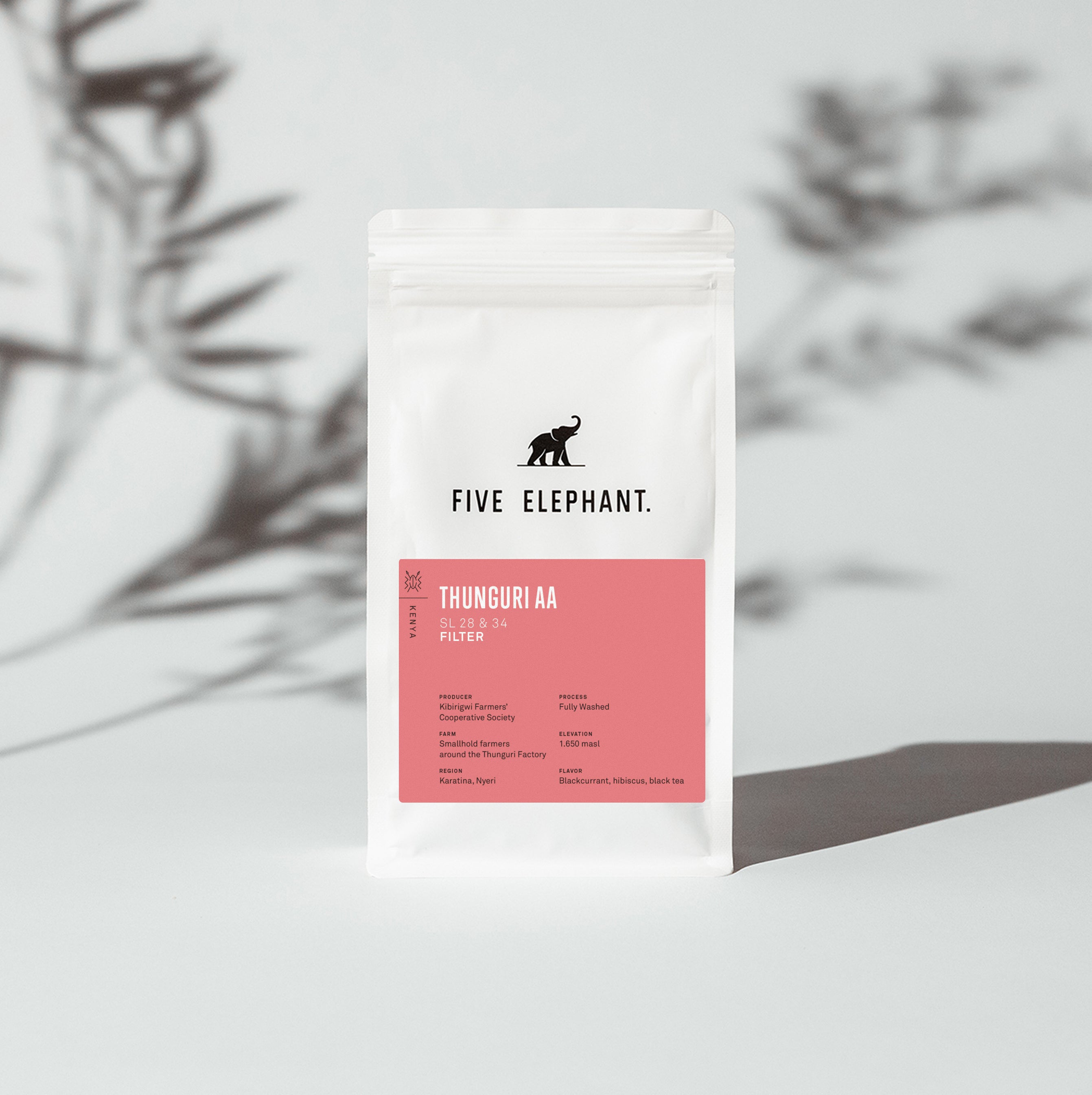 KENYA Thunguri AA - Filter