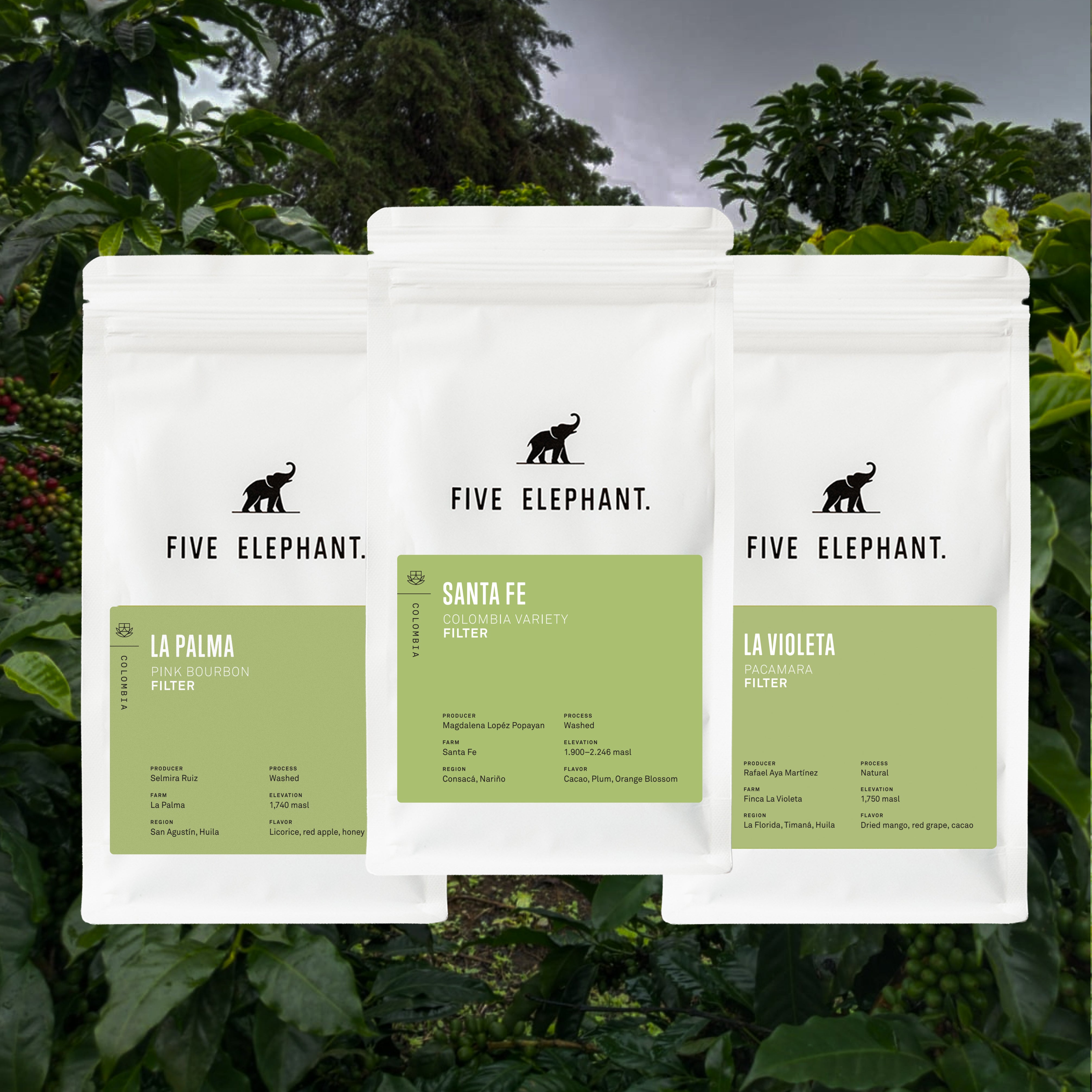 Colombia Filter Bundle