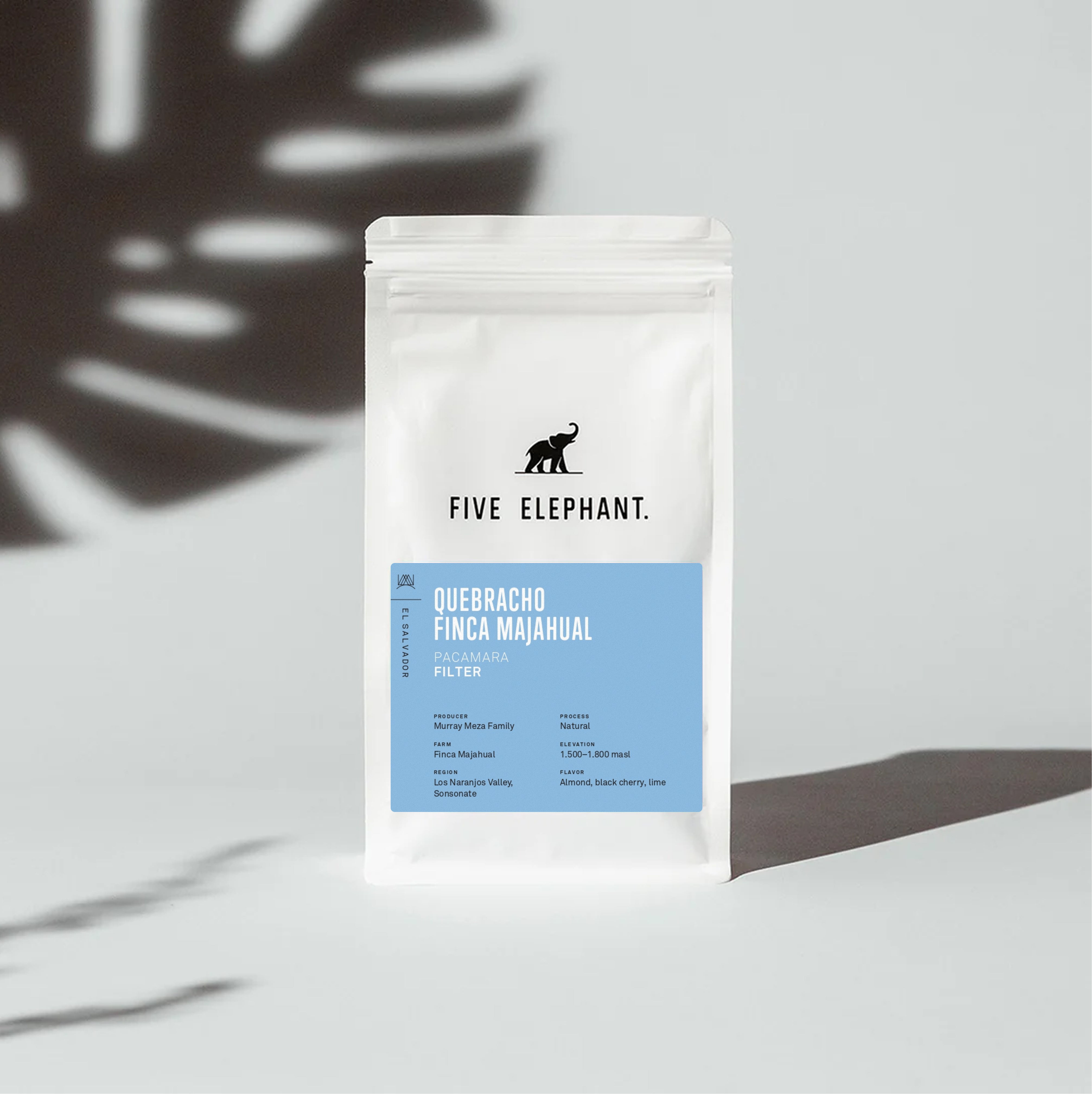 EL SALVADOR Quebracho Pacamara Natural – Filter
