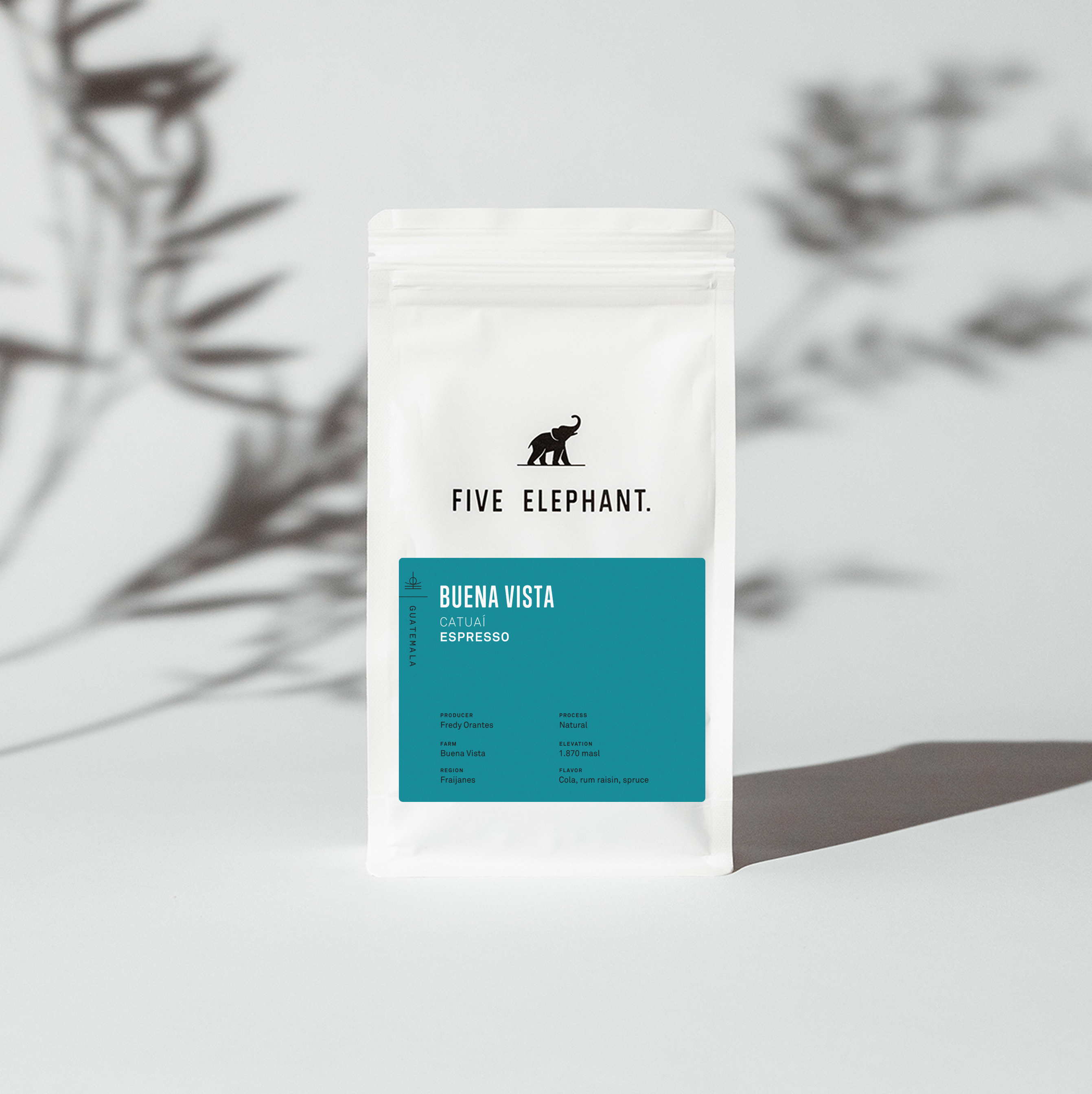 GUATEMALA Buena Vista – Espresso