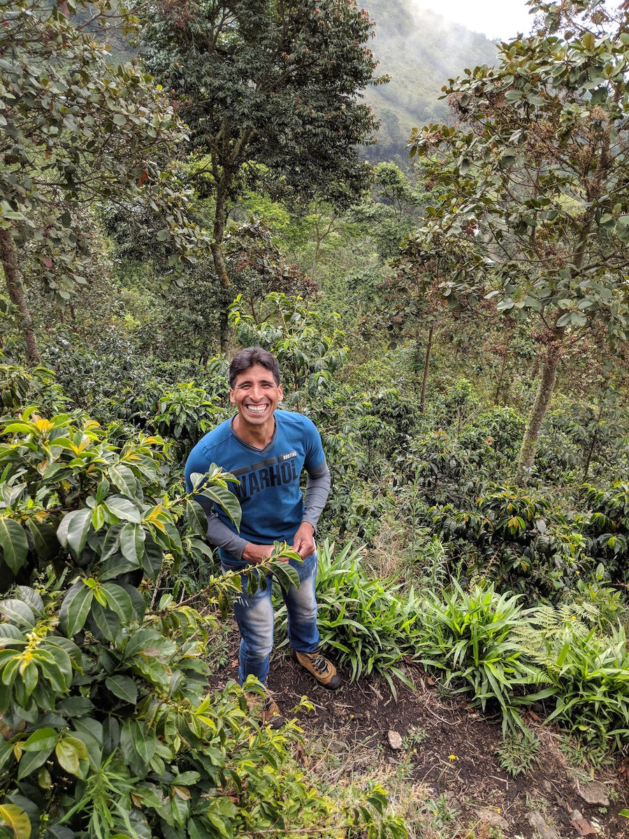 KOLUMBIEN Santa Fe – Espresso